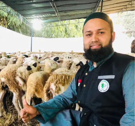 1.2 Qurban Lamb (Australia) - Image 2