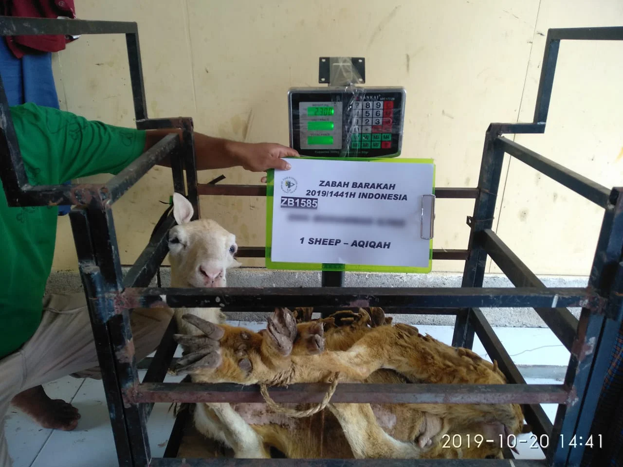 Aqiqah Indonesia (Zabah Barakah) - Image 7