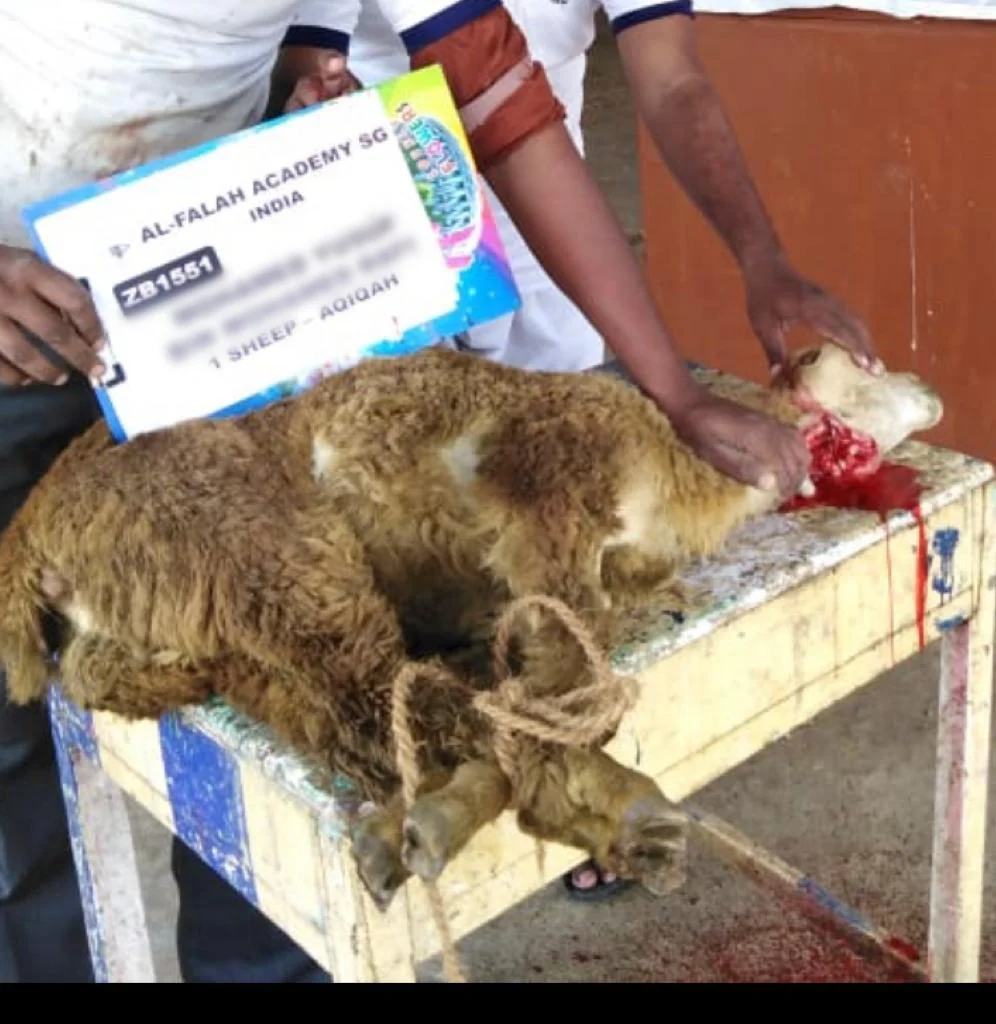 Aqiqah Indonesia (Zabah Barakah) - Image 8