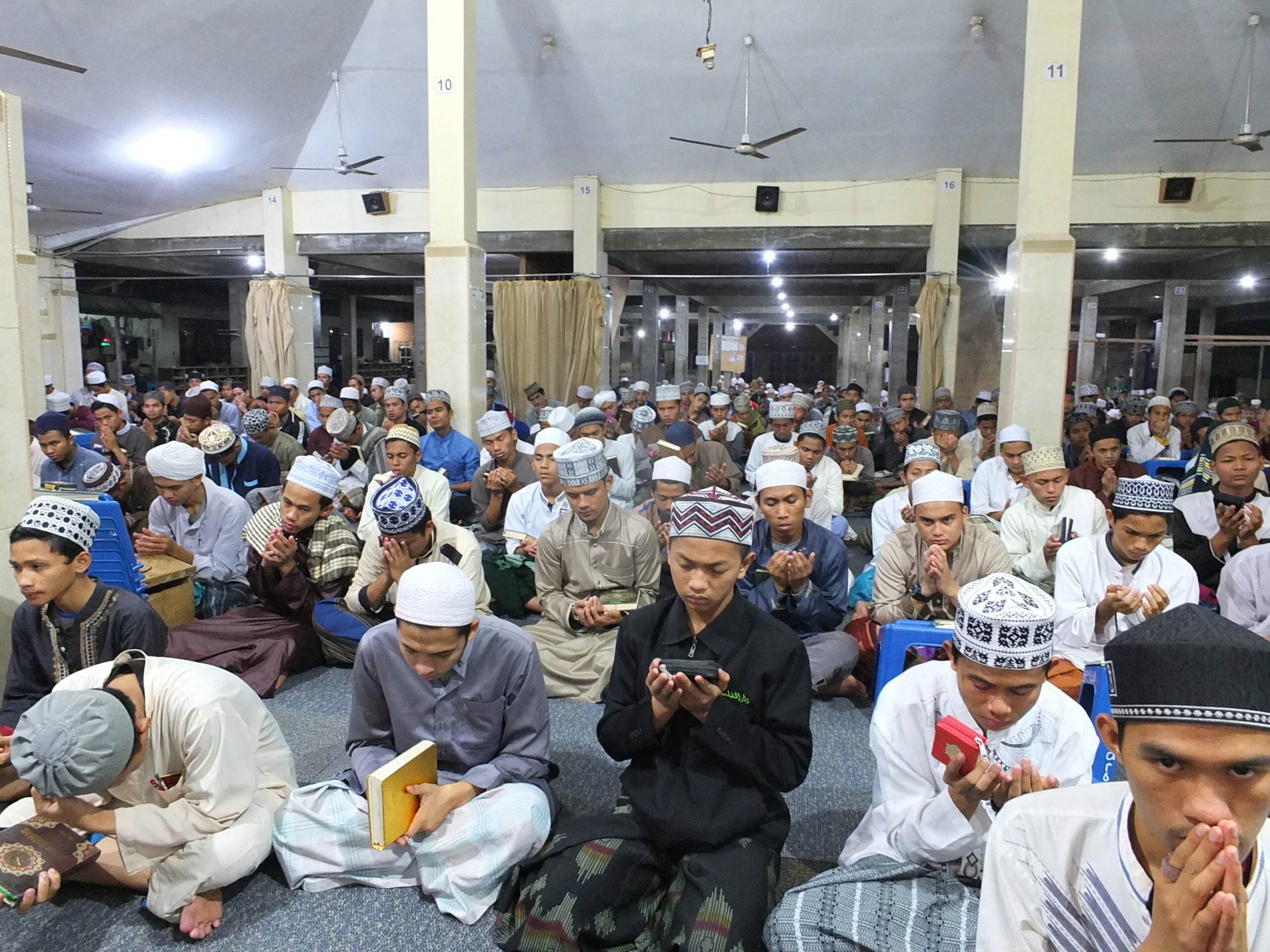 3.1 Nazar Sheep (Indonesia) - Image 7