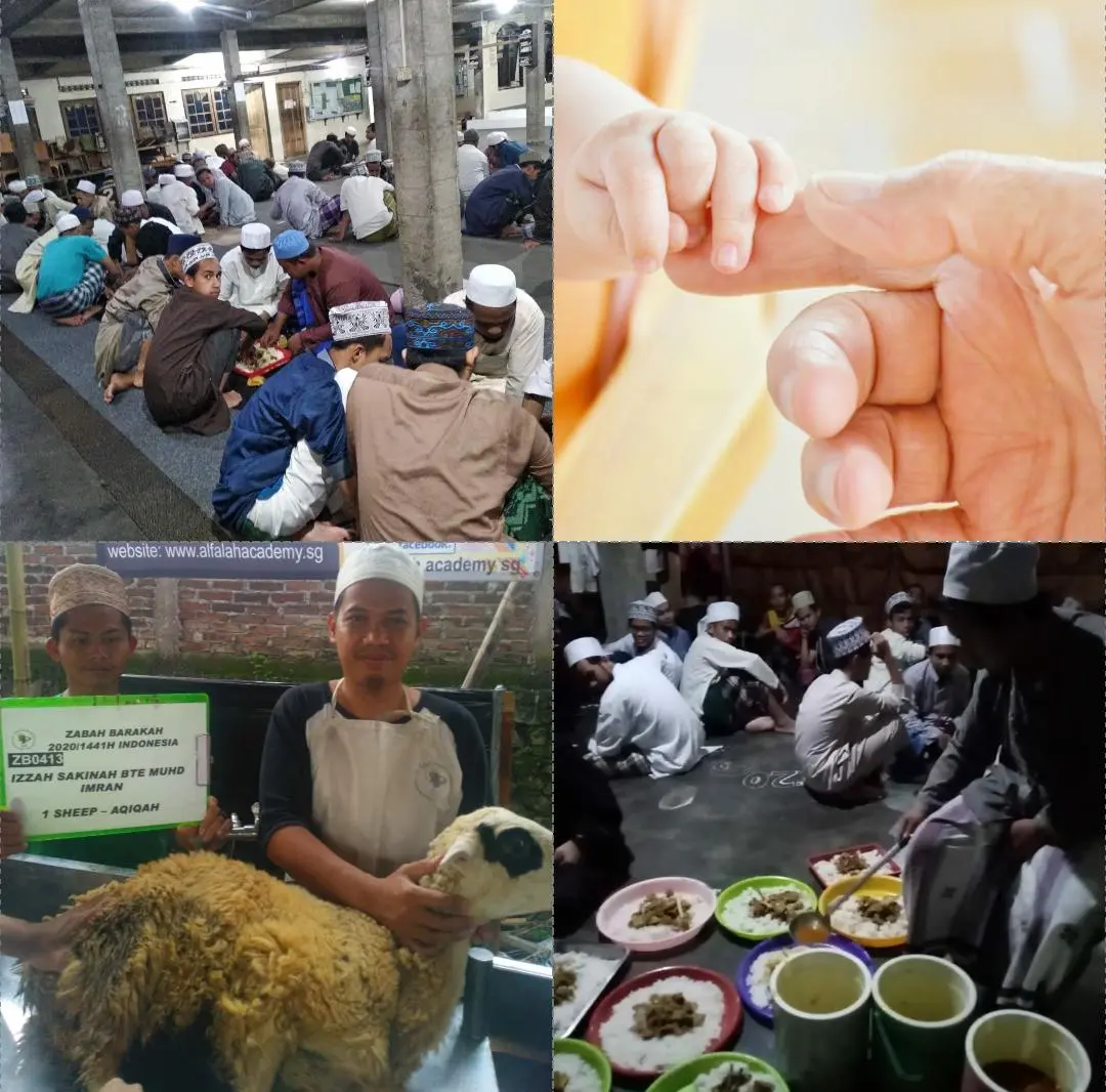 Aqiqah Indonesia (Zabah Barakah)