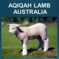 2.2 Aqiqah Lamb (Australia)