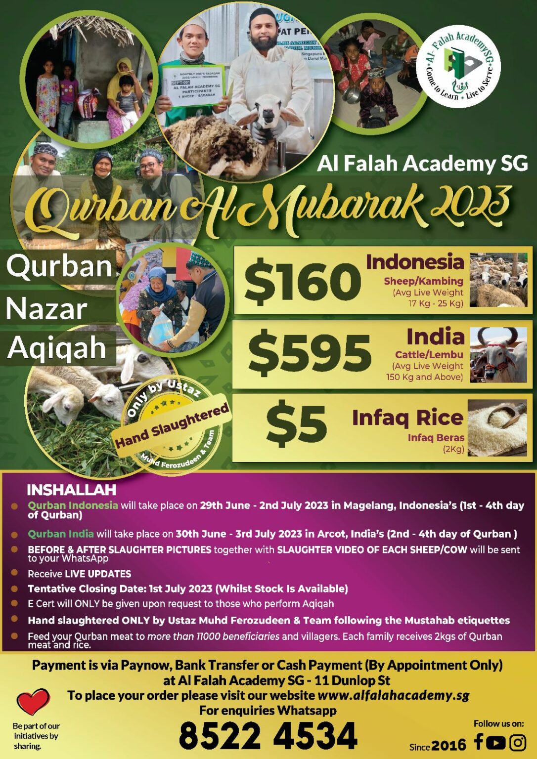 1-5-qurban-cattle-150kg-india-al-falah-academy-singapore