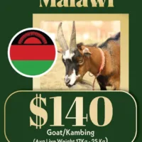 1.4 Qurban Goat (Malawi)